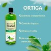 6 Pzs Shampoo Secreto Herbal Extracto De Sábila Crecimiento