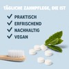 Smyle Toothpaste Tablets - Vegan, Fluoride Containing, Plastic-Free, Biodegradable Solid