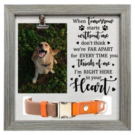 FINGERINSPIRE Pet Memorial Picture Frame 23x23cm Don't Think We're Far Apart for Every Time You Think of Me I'm Right Here In Your Heart Wood Passed Dog Cat Frame with Photo Clip & Collar Holder