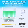 National Geographic Ant Habitat Kit - Light-Up Ant Terrarium with