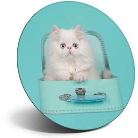 Destination Vinyl ltd Magnet for Refrigerator, Fridge - White Persian Longhair Kitten Cat Cats Cute for Office, Cabinet and Whiteboard, Magnetic Stickers, 24433