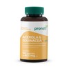 Pronat | Acerola & Equinacea infantil - 60 tabletas de
