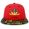 Trendy Apparel Shop Rasta Marihuana Leaf Weed 3D bordado plano