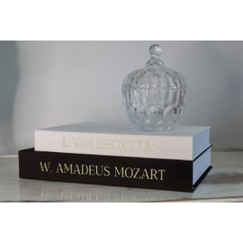 claubur Decorative Books for Home Decor Set of 2 Linen Covered Decorative Boxes. No Pages Inside. For Coffee Table, Bookshelf or Mantle Decor. Fake/Faux Books for Modern Home. Black and White Decor