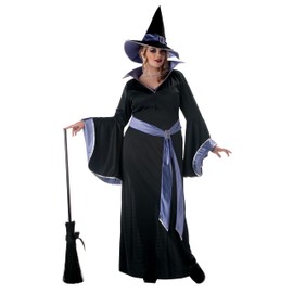 California Costumes Plus Size Glamour Witch Incantasia Costume Size 1X, 2X, 3X 3X