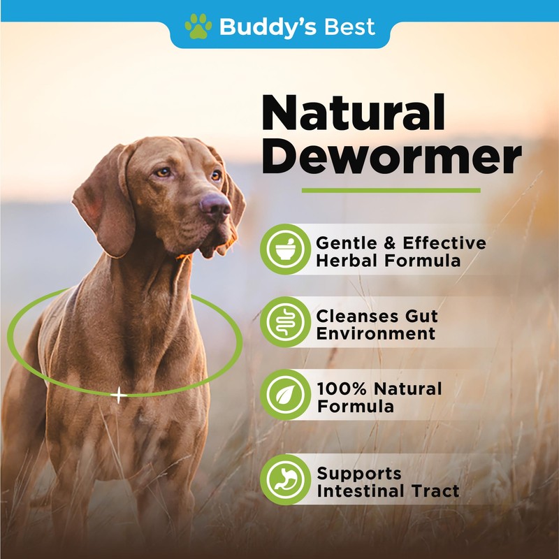 BUDDY'S BEST Natural Dewormer For Dogs & Cats | Intestinal