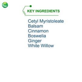 Nutra BioGenesis Nutra BioGenesis ArthroGenx Cream - Turmeric, Ginger and MSM to Help Soothe Skin and Massage Muscles & Joints - 2 oz