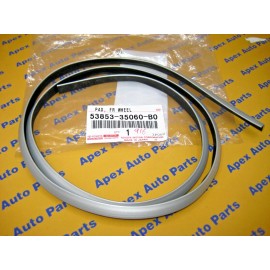 Toyota 4Runner Limited Front Fender Flair Rubber Seal Silver OEM 1996-2002
