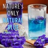 PICKNATURE Butterfly Pea Flower Tea Loose Leaf Freshly Picked from