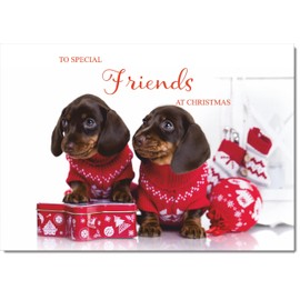 doodlecards Friends Christmas Card Two Dogs with Christmas Jumpers Medium Size Christmas Card for Friends with Plain Envelope
