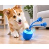 Smart Interactive Dog Toy Ball with Rope, USB Rechargeable Automatic
