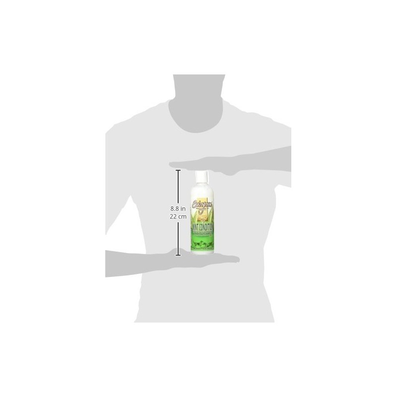 Envirogroom Mint Condition 17 oz.