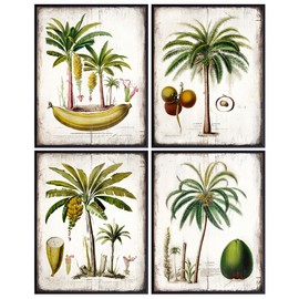 Boho Room Decor 11x14 - Palm Tree Decor for Kitchen, Dining room, Living Room - Tropical Wall Decor for Beach house - Boho Home Decor, Rustic Vintage Gift for Men, Women - Palm Tree Wall Art Set