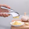 2 Pieces Garlic Press Stainless Steel Press Hand Press Kitchen