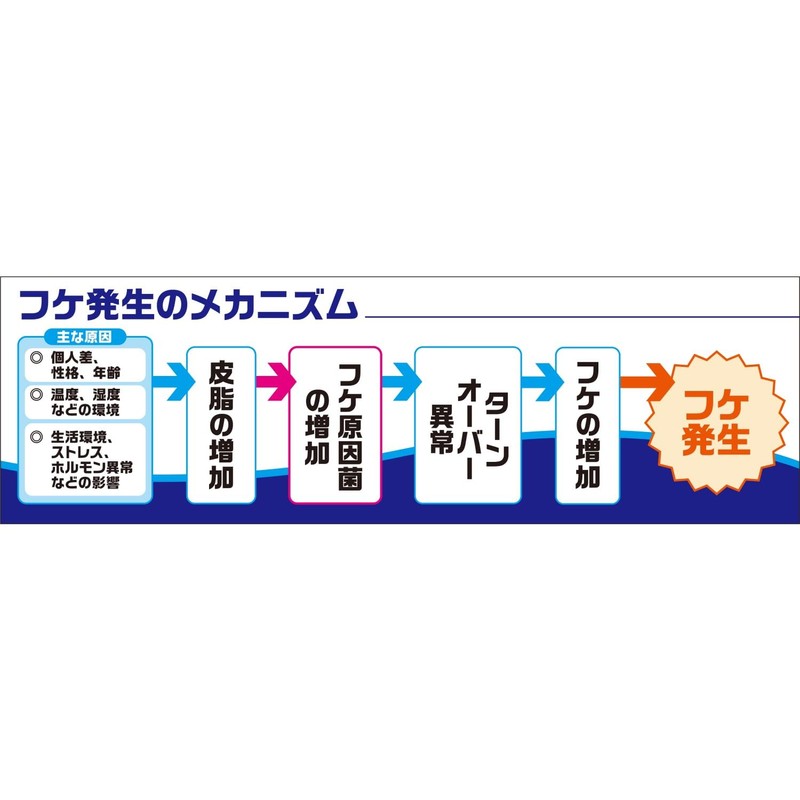 フケミン ソフトA 薬用洗髪剤 フケ対策 フケ・かゆみ予防 10g×5本入 [医薬部外品]