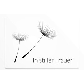 Friendly Fox Condolence Cards with Envelope, 12 Sympathy Cards with Envelope, Dandelion Seeds, Sympathy Cards for Death, Sympathy Card