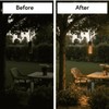 Ironsmith Lighting Products Starlight Outdoor Hanging Light Fixture - Solid
