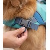 Adjustable Dog Life Jacket with Head Support & Rescue Handle