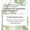Mixsoon Duo Limpieza Nutricion Bean Essence + Centella Foam