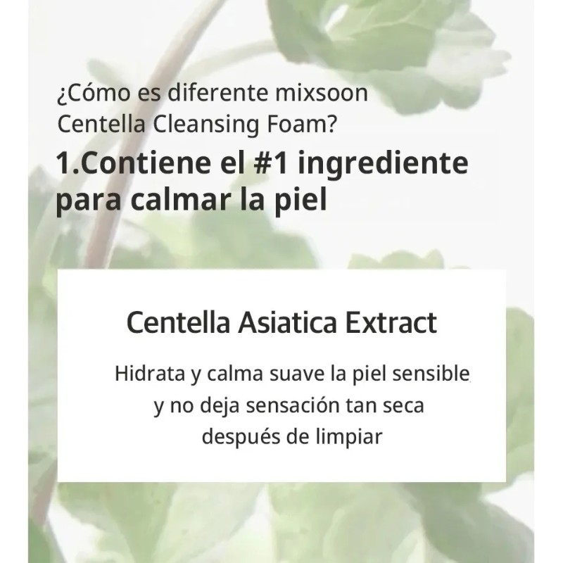 Mixsoon Duo Limpieza Nutricion Bean Essence + Centella Foam