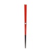 若狭 Painted The Traditional Color Chopsticks 唐紅 Flower (Not From