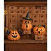 Bethany Lowe Designs Pumpkin Witch Luminary 6.25" TF4247