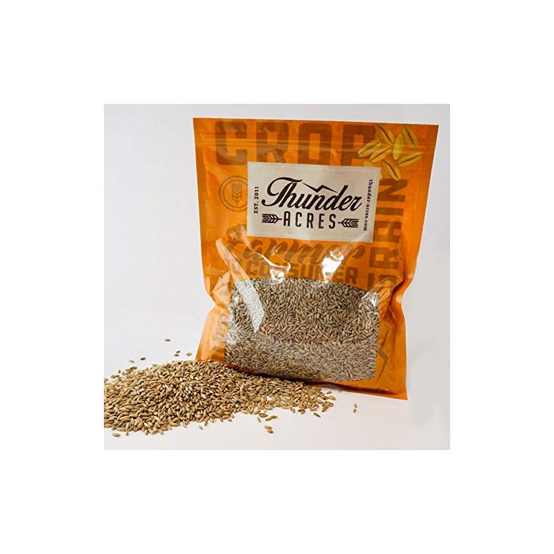 Thunder Acres Organic Winter Rye Seeds, Non-GMO (1 lb)
