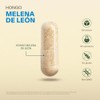Melena de Leon Nootropico para Enfoque y Claridad Mental VITAL