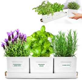 volila Herb Planter Indoor - Set of 3 Warmstone Indoor Herb Garden Pots for Plants with Leather Handled Tray - Window Sill Plant Shelf - Herb Pots with Drainage Holes and Labels