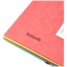 Esselte Rainbow 3-Flap Folder, A4, Assorted colours, Pack of 5, 15523