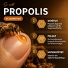 bedrop Propolis Nail Serum - High Dose Skin Care for