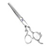 Professional Hair Cutting Thining Scissors Salon Barber Hairdressing Shear #01