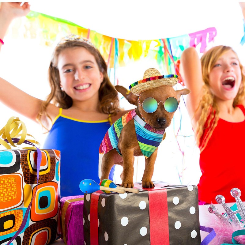 Abbylike 5 Pcs Mexican Dog Miniature Horse Alpaca Yard Goose