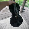 Unbranded 4/4 Full Size Black Violin with Case, Bow and