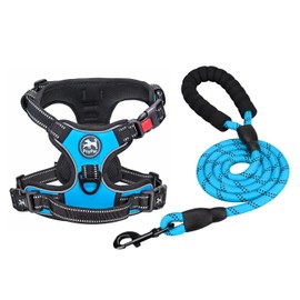 PoyPet Dog Harness and Leash Combo, Escape Proof No Pull Vest Harness, with 5 Feet Leash, Reflective Adjustable Soft Padded Pet Harness with Handle for Small to Large Dogs(Blue,L)