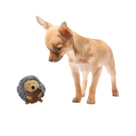 SPOT Butterballs Forest Animals Dog Toy-Soft, Stuffed, Squeaky, Plush Fabric Toy for Mini and Small Dogs and Puppies, Enrichment for Light Chewers and Cuddlers, 4in, Assorted Styles, 1 Piece