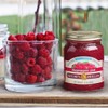 Nature's Hollow, Sugar-Free Jam Preserves Variety Pack, Strawberry and Raspberry,