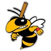 AK Wall Art Baseball Bee Wasp Hornet Bumble Bee Car Vinyl Sticker - SELECT SIZE - (A) X-Small: 3"