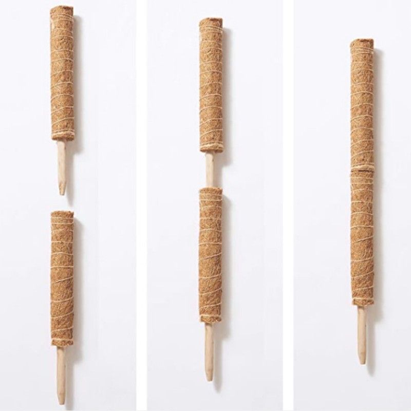 3Pcs 450mm Coir Totem Pole Moss Stick Fibre Plant Climbing