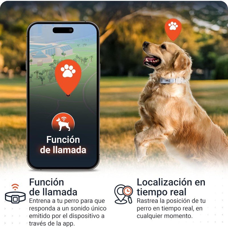 PAJ GPS – Collar LED+GPS Tracker Perros, 3 Meses Suscripción