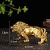DOUKI YA Feng Shui Goods Lion Copper Lion Leo Amulet