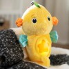 Peluche Baby Einstein Sea Dreams Caballito De Mar Musical