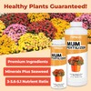 Mum Fertilizer, Complete Liquid Mum Plant Food for All Chrysanthemums,