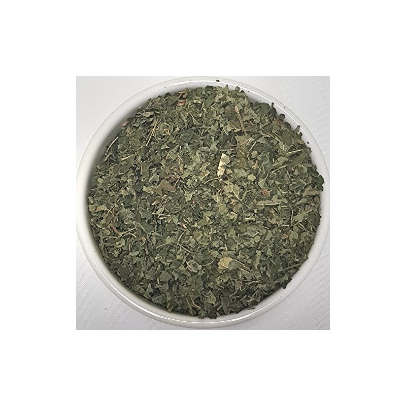 Herba Organica - Hazel Leaf - Corylus L - Herbal