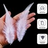 Holmgren 200pcs White Craft Feathers - 5-7inch Rooster Feathers for