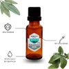 Aceite Esencial de Salvia Natural Puro Aromaterapia