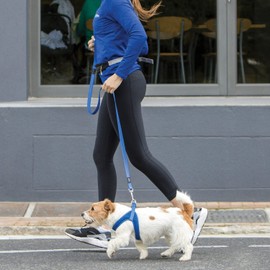 Rogz Utility Medium 5/8" Snake Fixed 6' Long Reflective Dog Leash, Turquoise