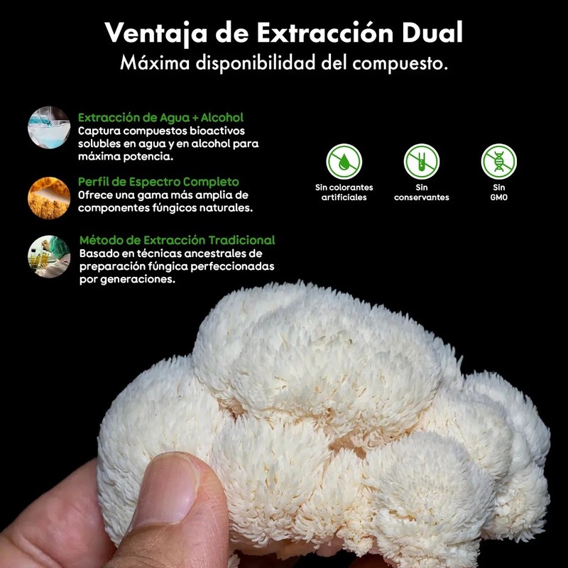 Tintura Doble Extracción Hongo Melena De León Extracto 50ml