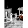 T-WARE 12 Oz Double Wall Glass Coffee Mugs with Handle,