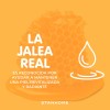 Stanhome 3 Pzas Crema Reparadora La Pomada Mágica Jalea Real